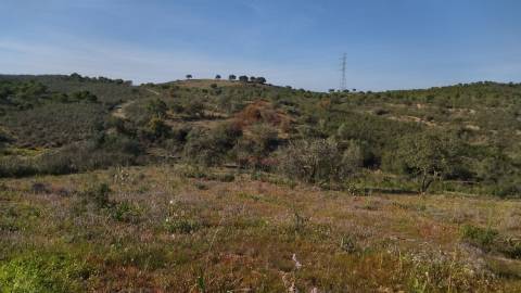 Terreno Rustico, Alcoutim