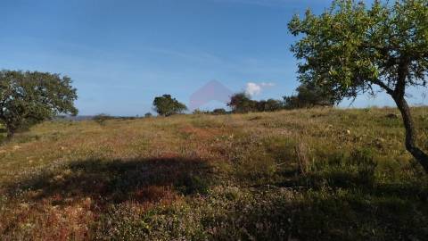 Terreno Rustico, Alcoutim