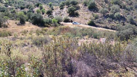 Terreno Rústico  Venda em Alcoutim e Pereiro,Alcoutim