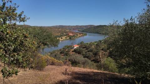 Terreno Rústico  Venda em Alcoutim e Pereiro,Alcoutim
