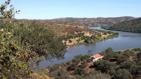 Terreno Rústico  Venda em Alcoutim e Pereiro,Alcoutim