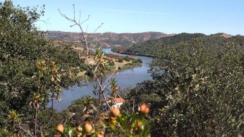 Terreno Rústico  Venda em Alcoutim e Pereiro,Alcoutim