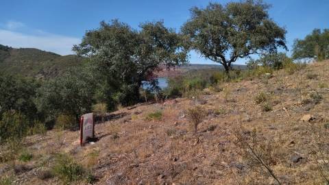 Terreno Rústico  Venda em Alcoutim e Pereiro,Alcoutim