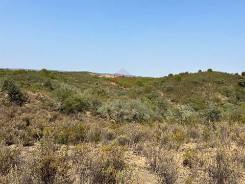 Lote de Terreno  Venda em Alcoutim e Pereiro,Alcoutim