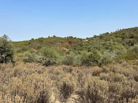Lote de Terreno  Venda em Alcoutim e Pereiro,Alcoutim