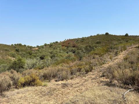 Lote de Terreno  Venda em Alcoutim e Pereiro,Alcoutim