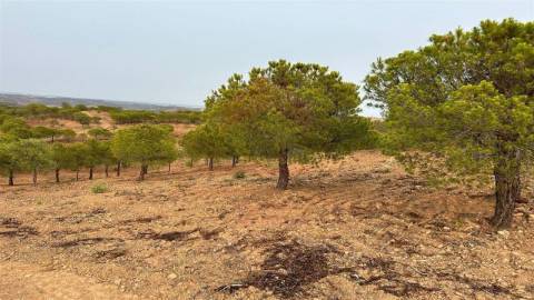 Terreno Rústico, Castro Marim, Azinhal