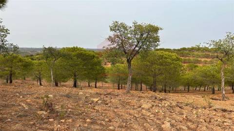 Terreno Rústico, Castro Marim, Azinhal