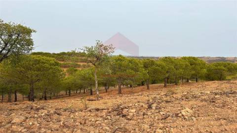 Terreno Rústico, Castro Marim, Azinhal