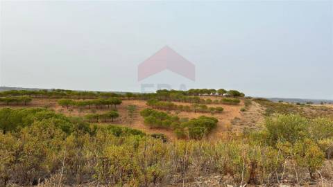 Terreno Rústico, Castro Marim, Azinhal