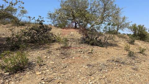 Terreno Rústico  Venda em Alcoutim e Pereiro,Alcoutim
