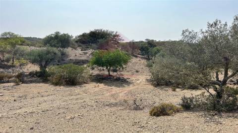 Terreno Rústico  Venda em Alcoutim e Pereiro,Alcoutim