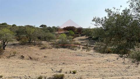 Terreno Rústico  Venda em Alcoutim e Pereiro,Alcoutim