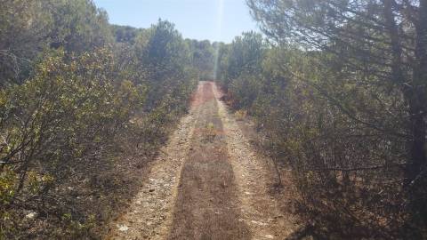 Terreno Rústico  Venda em Alcoutim e Pereiro,Alcoutim
