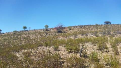 Terreno Rústico  Venda em Alcoutim e Pereiro,Alcoutim