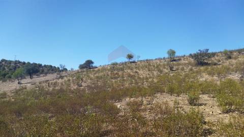 Terreno Rústico  Venda em Alcoutim e Pereiro,Alcoutim