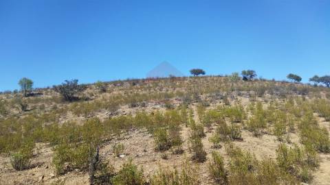 Terreno Rústico  Venda em Alcoutim e Pereiro,Alcoutim