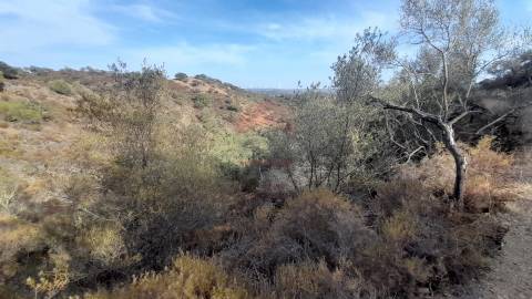 Conjunto de  terrenos rústicos, Curral Velho, Alcoutim