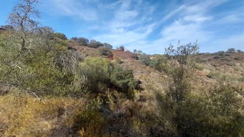 Conjunto de  terrenos rústicos, Curral Velho, Alcoutim