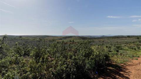 Terreno Rústico  Venda em Tavira (Santa Maria e Santiago),Tavira