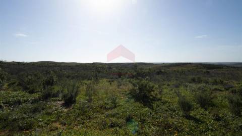 Terreno Rústico  Venda em Tavira (Santa Maria e Santiago),Tavira