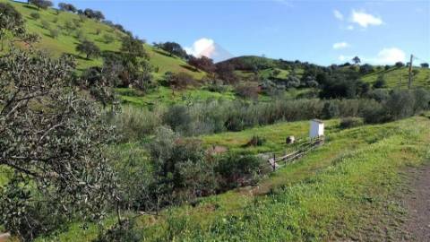 Terreno Rústico  Venda em Castro Marim,Castro Marim