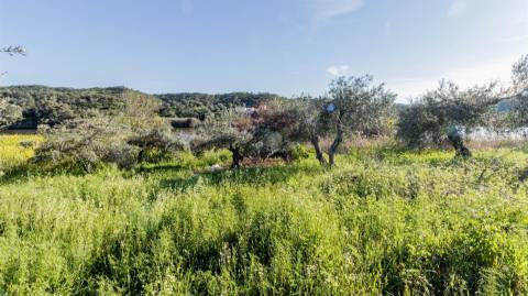 Terreno Rústico  Venda em Alcoutim e Pereiro,Alcoutim