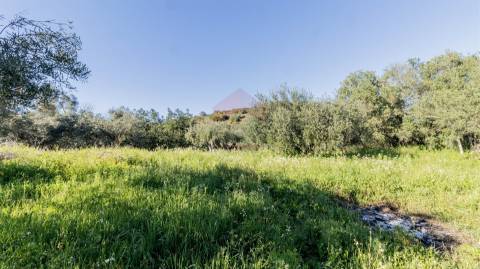 Terreno Rústico  Venda em Alcoutim e Pereiro,Alcoutim