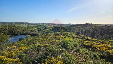 Terreno Rústico  Venda em Castro Marim,Castro Marim