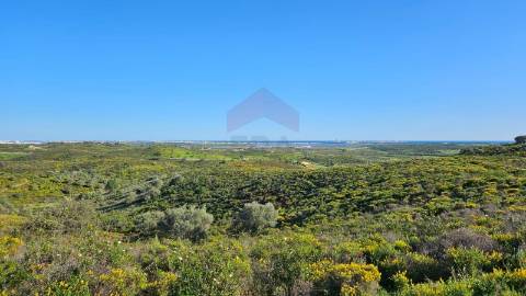 Terreno Rústico  Venda em Castro Marim,Castro Marim