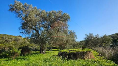 Terreno Rústico  Venda em Castro Marim,Castro Marim