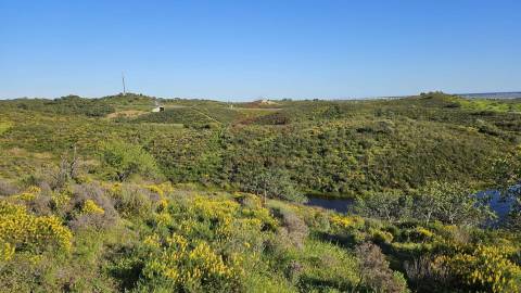 Terreno Rústico  Venda em Castro Marim,Castro Marim