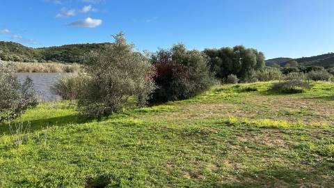 Terreno Rústico  Venda em Alcoutim e Pereiro,Alcoutim
