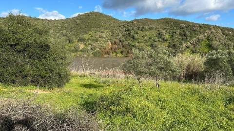 Terreno Rústico  Venda em Alcoutim e Pereiro,Alcoutim