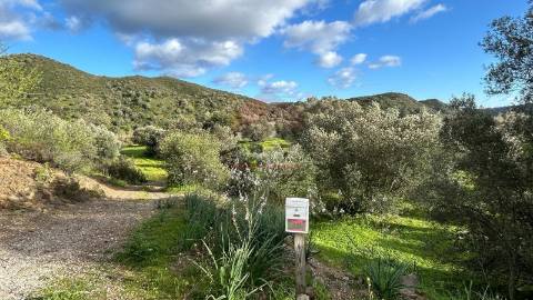 Terreno Rústico  Venda em Alcoutim e Pereiro,Alcoutim