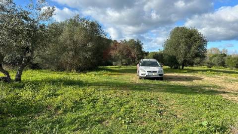 Terreno Rústico  Venda em Alcoutim e Pereiro,Alcoutim