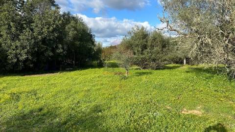 Terreno Rústico  Venda em Alcoutim e Pereiro,Alcoutim