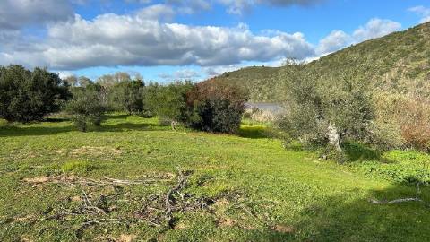 Terreno Rústico  Venda em Alcoutim e Pereiro,Alcoutim