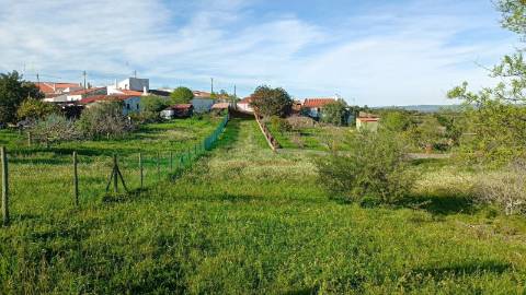 Terreno Rústico  Venda em Alcoutim e Pereiro,Alcoutim