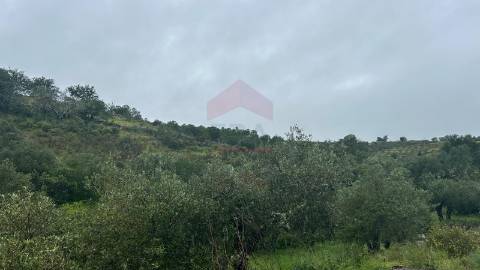 Terreno Rústico  Venda em Alcoutim e Pereiro,Alcoutim
