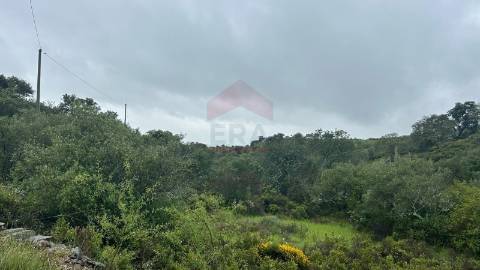 Terreno Rústico  Venda em Alcoutim e Pereiro,Alcoutim