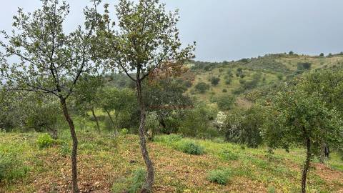 Terreno Rústico  Venda em Alcoutim e Pereiro,Alcoutim