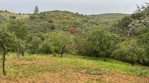 Terreno Rústico  Venda em Alcoutim e Pereiro,Alcoutim