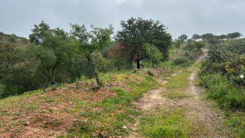 Terreno Rústico  Venda em Alcoutim e Pereiro,Alcoutim