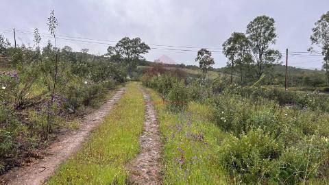 Terreno Rústico  Venda em Alcoutim e Pereiro,Alcoutim