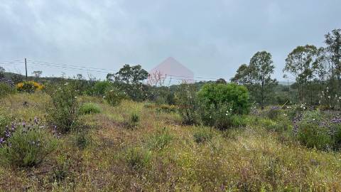 Terreno Rústico  Venda em Alcoutim e Pereiro,Alcoutim