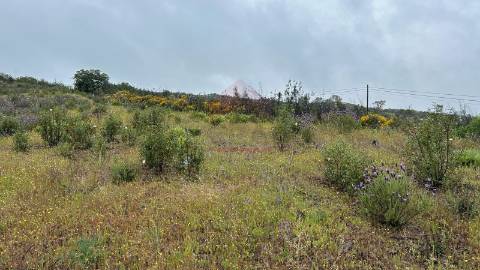 Terreno Rústico  Venda em Alcoutim e Pereiro,Alcoutim