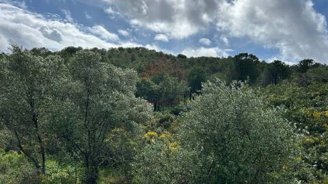Terreno Rústico  Venda em Alcoutim e Pereiro,Alcoutim