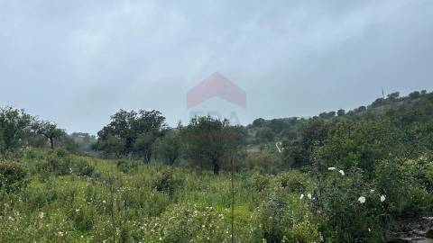 Terreno Rústico  Venda em Alcoutim e Pereiro,Alcoutim
