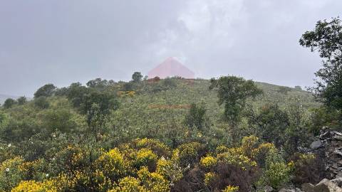 Terreno Rústico  Venda em Alcoutim e Pereiro,Alcoutim